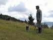 klikni a uvid� viac...