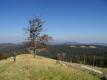 klikni a uvid� viac...
