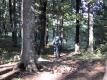 klikni a uvid� viac...